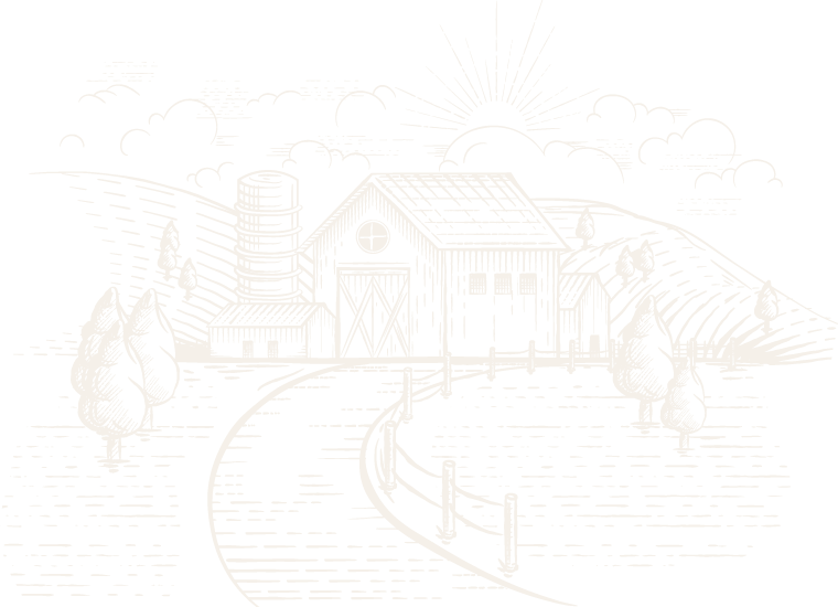 thedriedfruitcompany.in